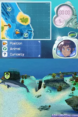 Image n° 3 - screenshots : Dolphin Island - Underwater Adventures (DSi Enhanced)